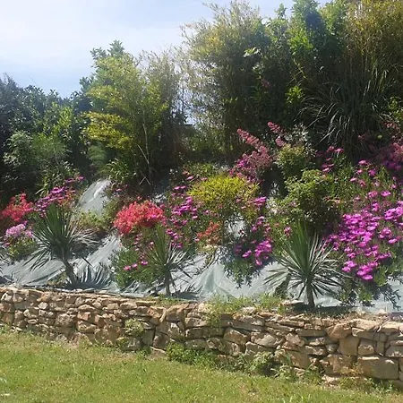 Location Avec Piscine Chauffee